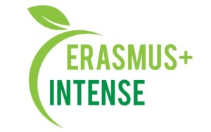 INTENSE logo